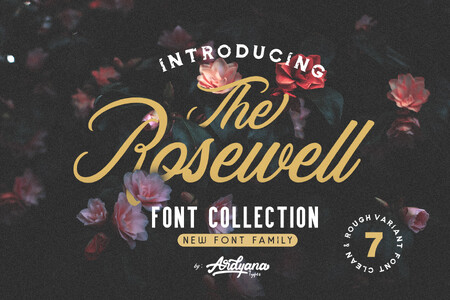Rosewell Script Demo font